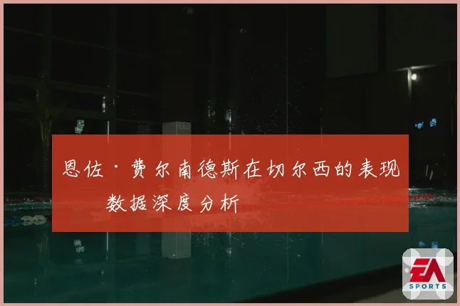 恩佐·费尔南德斯在切尔西的表现与数据深度分析