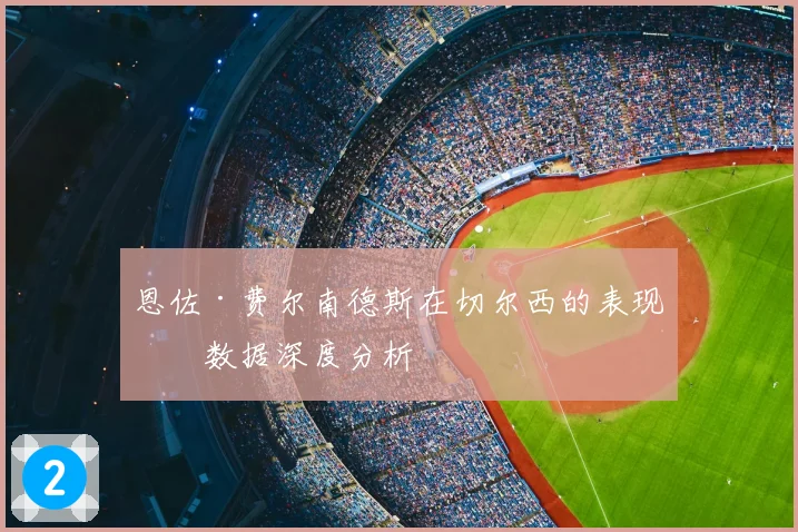 恩佐·费尔南德斯在切尔西的表现与数据深度分析