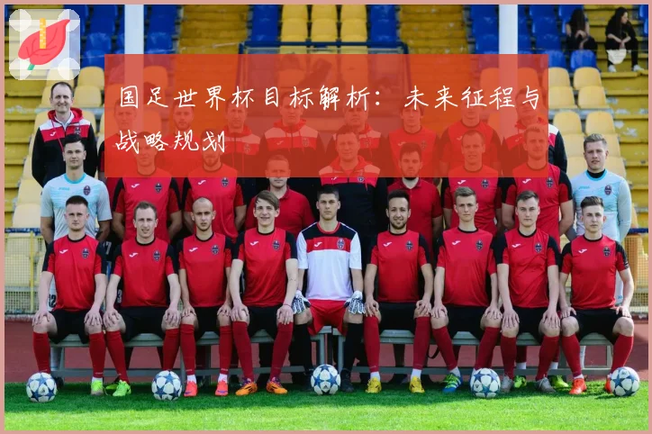 国足世界杯目标解析:未来征程与战略规划