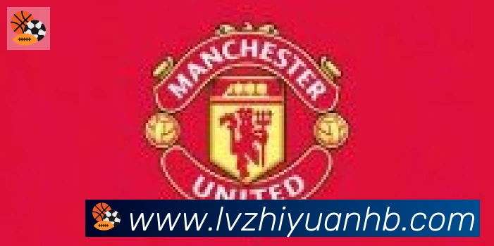 开云体育合作伙伴