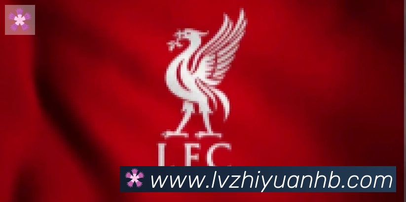 开云体育合作伙伴